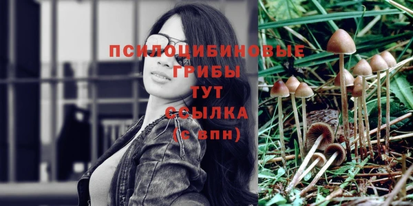 экстази Михайловск